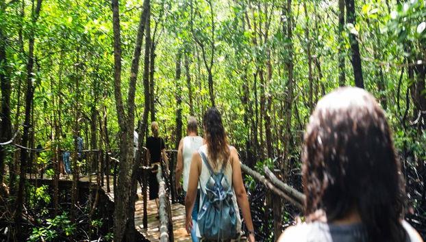 Zanzíbar: Bosque Jozani, monos colobos rojos, excursión al The Rock Restaurant - Foto 3