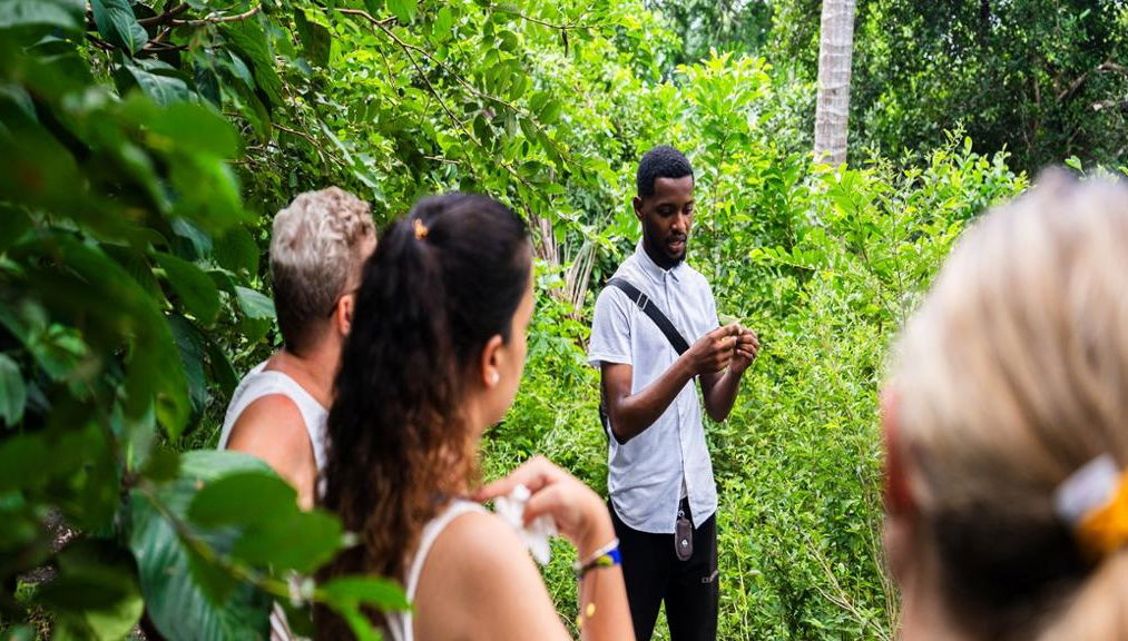 Zanzíbar: Bosque Jozani, monos colobos rojos, excursión al The Rock Restaurant - Foto 1