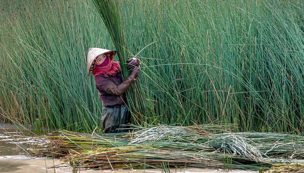 Autentico Delta del Mekong in motoscafo - Escursione di un'intera giornata per piccoli gruppi - Foto 3