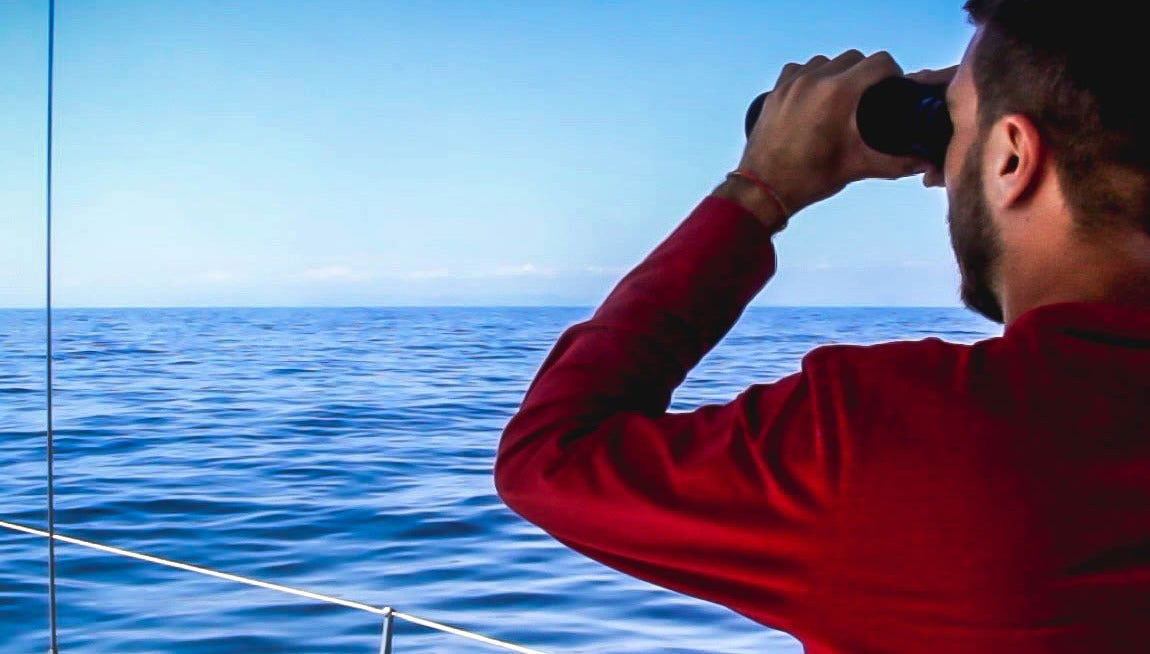 Avistamiento de delfines y ballenas en Denia