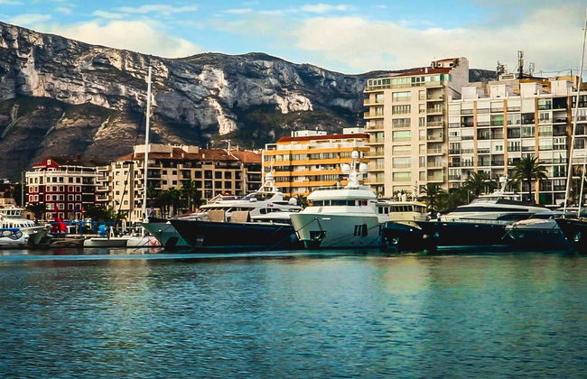 Avvistamento di delfini e balene a Denia - Foto 3