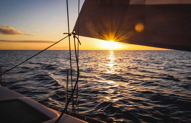 Avvistamento di delfini e balene a Denia - Foto 4