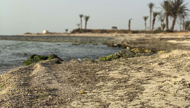 Tour en kayak al atardecer por Sidi Jmour - Foto 5