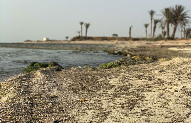 Sidi Jmour Beach Catamaran Tour - Foto 5