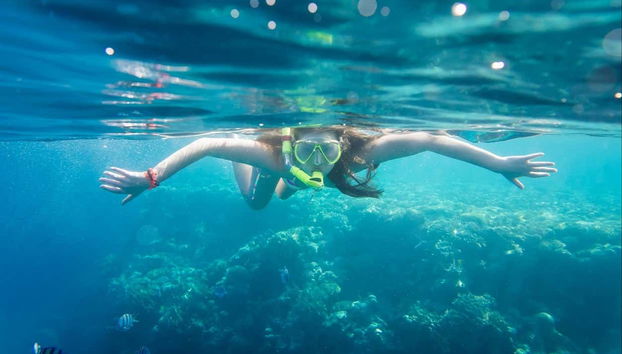 Snorkeling dans une ferme de corail - Photo 5