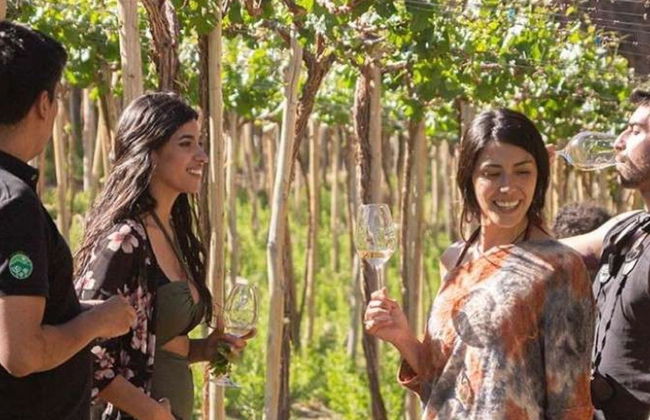 Elqui Valley Pisco, Wine & Beer Tour - Photo 3