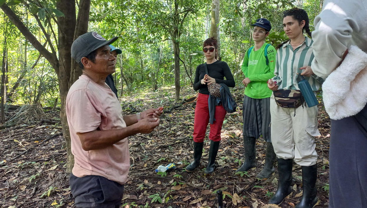 Avistamiento de animales en la selva de Iquitos - Foto 1
