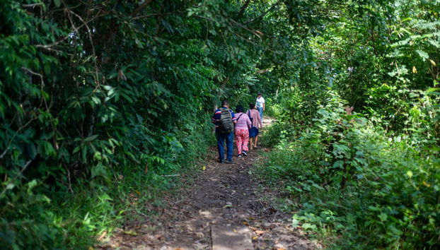 Avistamiento de animales en la selva de Iquitos - Foto 3