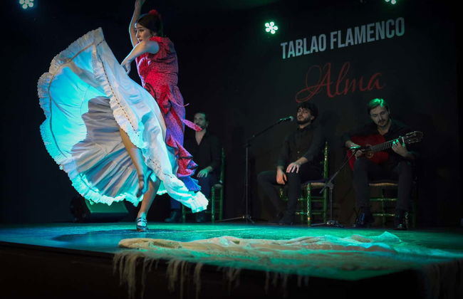 Spectacle de flamenco au tablao Alma - Photo 12