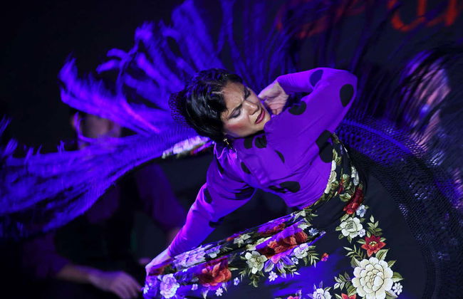 Spectacle de flamenco au tablao Alma - Photo 13