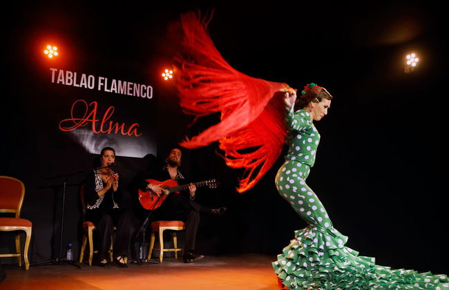 Spectacle de flamenco au tablao Alma - Photo 2