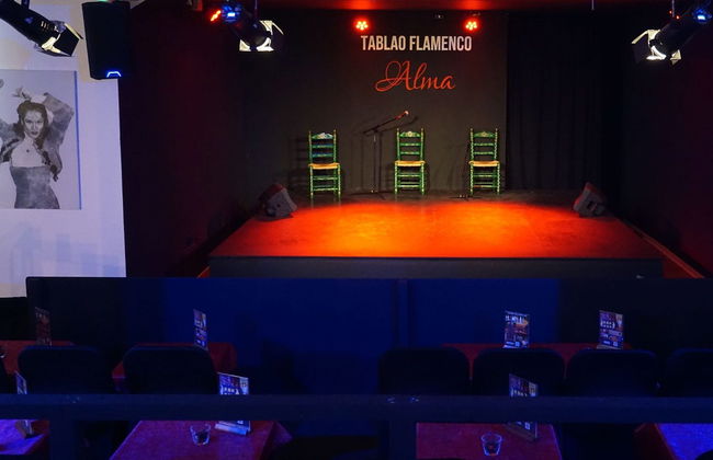 Spectacle de flamenco au tablao Alma - Photo 8