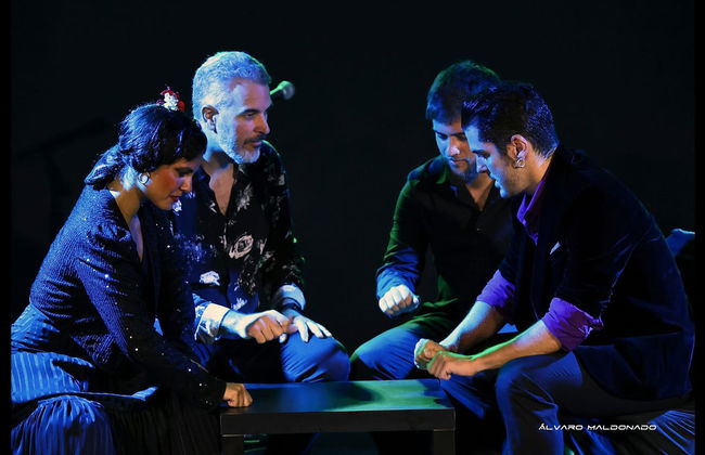 Spectacle de flamenco au tablao Alma - Photo 10