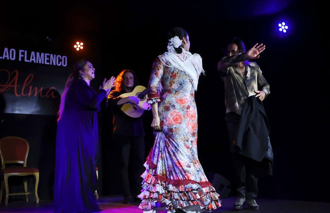 Spectacle de flamenco au tablao Alma - Photo 14