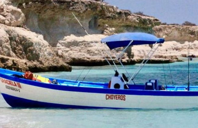 Private Boat Trip in Loreto - Photo 8