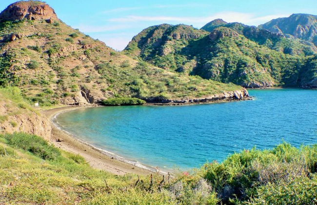 Private Boat Trip in Loreto - Photo 1
