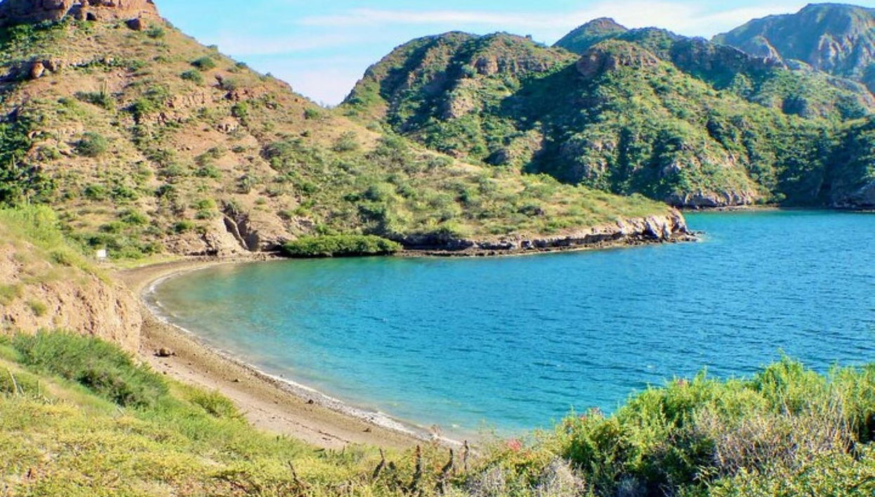 Private Boat Trip in Loreto - Photo 1