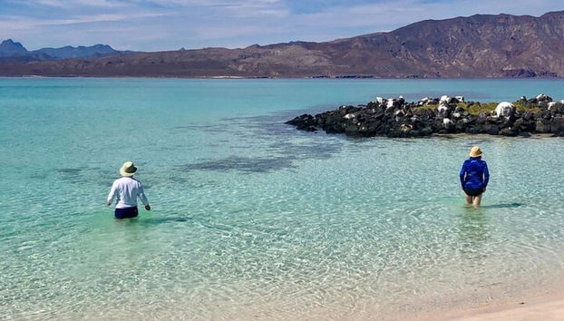 Private Boat Trip in Loreto - Photo 4