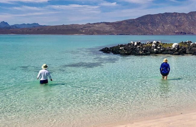 Private Boat Trip in Loreto - Photo 4