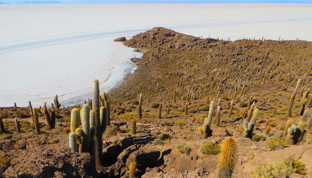 Excursión al Salar de Uyuni en autobús nocturno - Foto 5