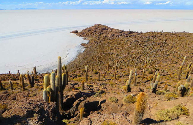 Excursão ao Salar de Uyuni de ônibus noturno - Foto 5