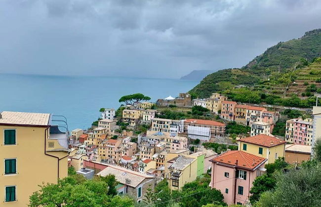 Pisa + Manarola Tour for Cruise Ships - Foto 7