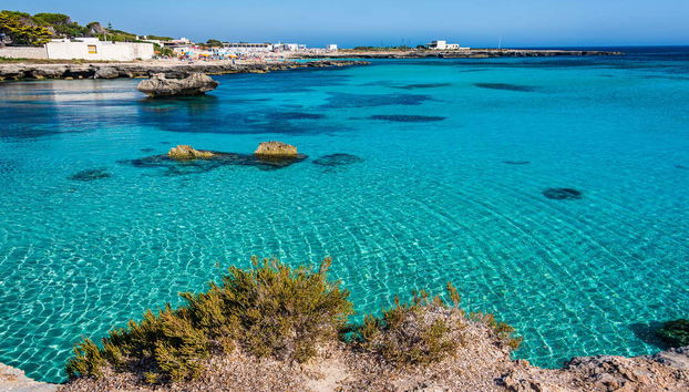 Boat Trip to Favignana - Foto 5