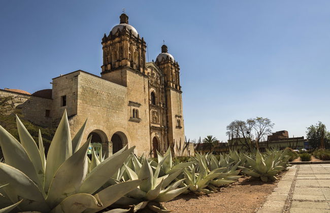 Escursione privata da Oaxaca - Foto 7