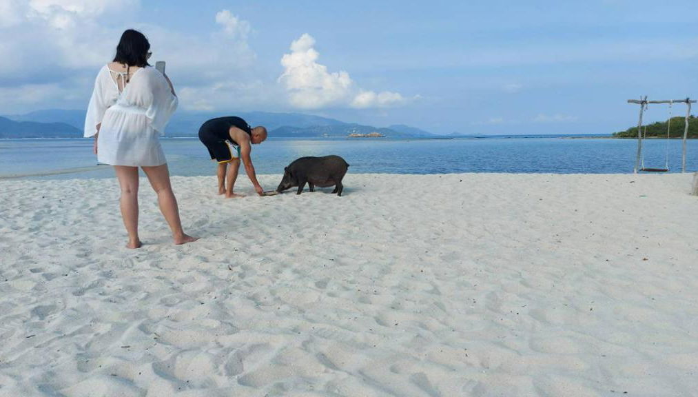 Découvrez les îles de Koh Tan et Koh Madsum – Excursion d'une demi-journée - Photo 1
