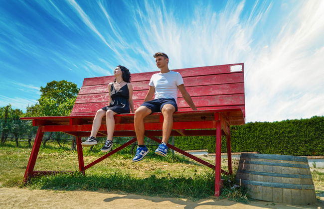 Tour en vespa por la región vinícola de Barolo - Foto 3