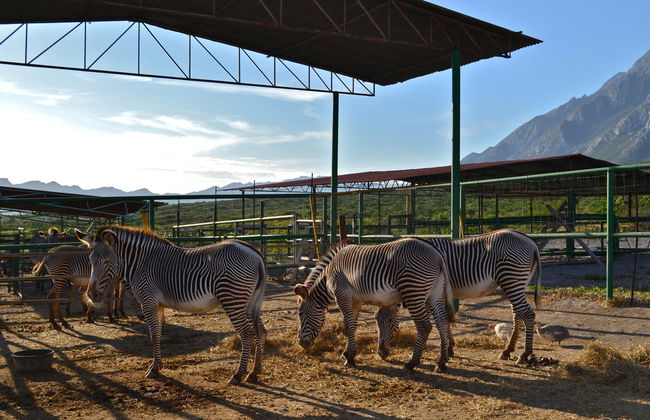 Xenpal Ecological Centre Tour - Photo 2
