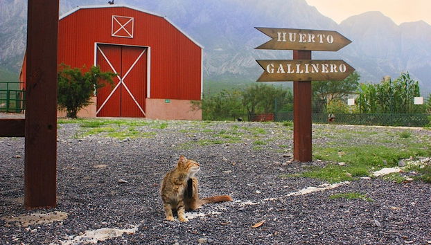 Xenpal Ecological Centre Tour - Foto 2