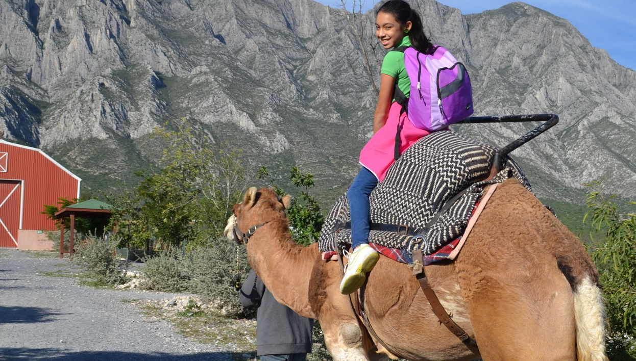 Xenpal Ecological Centre Tour - Foto 1