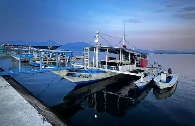 Nado con tiburones ballena en Puerto Princesa - Foto 5