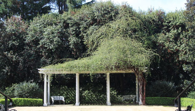 Tour por la plantación Historic Rosedale - Foto 3