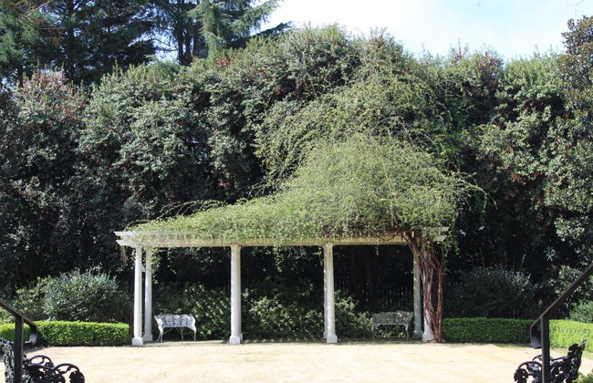 Tour por la plantación Historic Rosedale - Foto 3