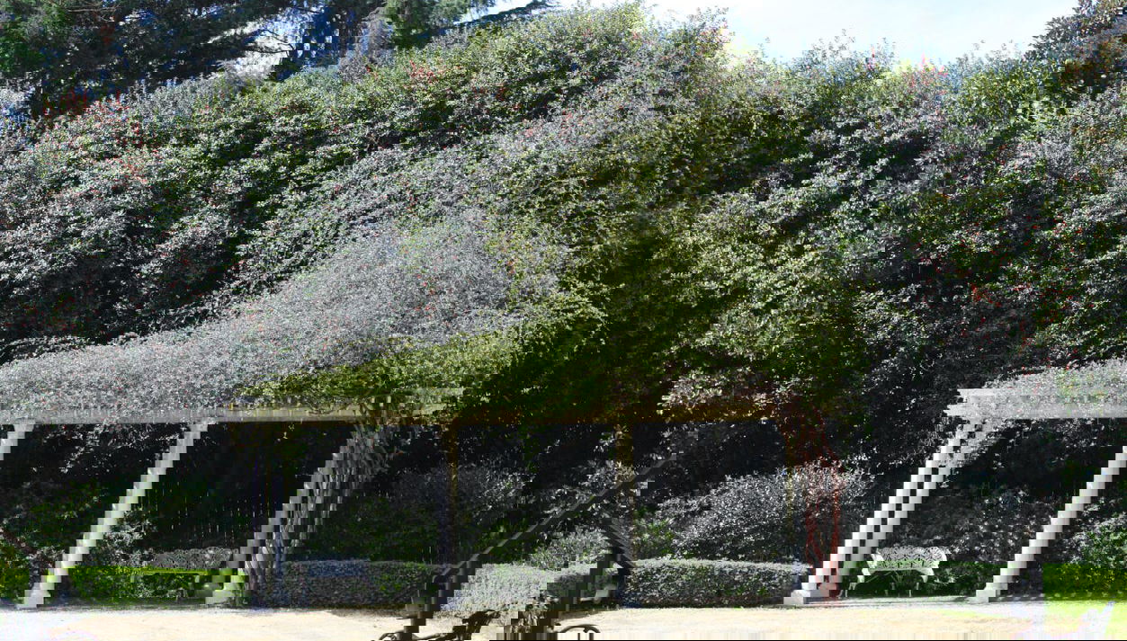 Tour por la plantación Historic Rosedale - Foto 1