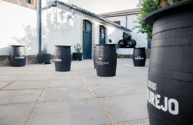 Visita a las Bodegas Álvaro Domecq - Foto 10