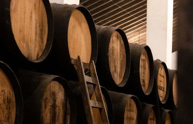 Visita a las Bodegas Álvaro Domecq - Foto 5
