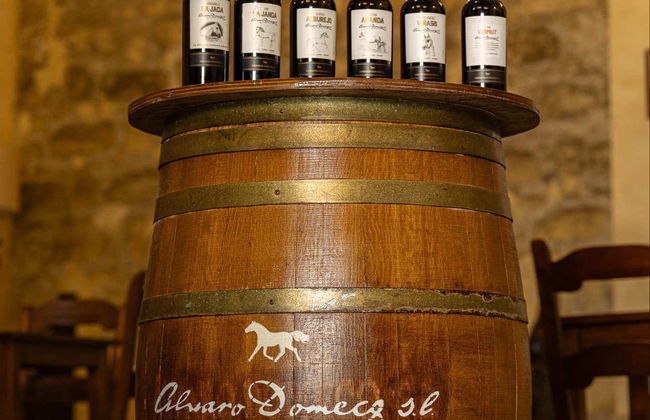 Visita a las Bodegas Álvaro Domecq - Foto 2