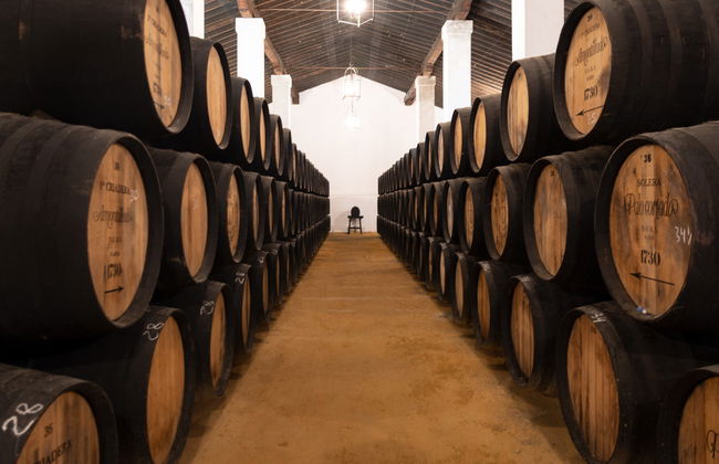 Visita a las Bodegas Álvaro Domecq - Foto 8