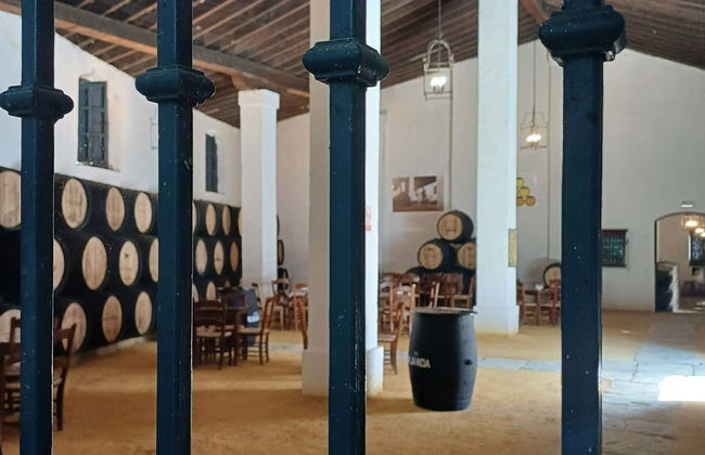 Visita a las Bodegas Álvaro Domecq - Foto 3