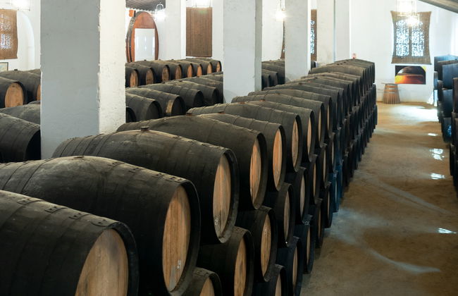 Visita a las Bodegas Álvaro Domecq - Foto 12