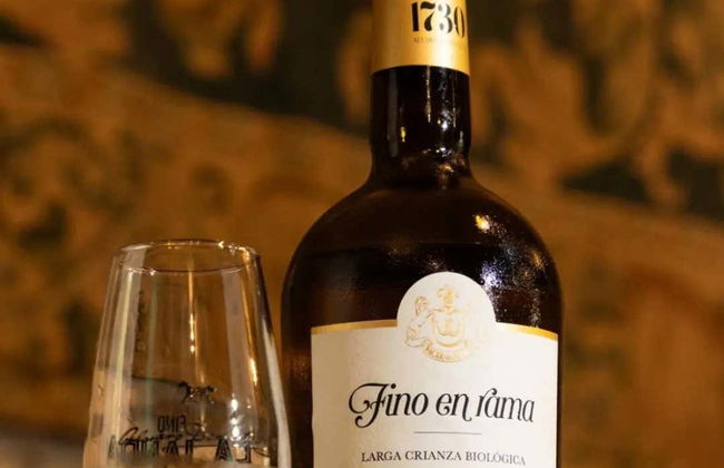 Visita a las Bodegas Álvaro Domecq - Foto 4