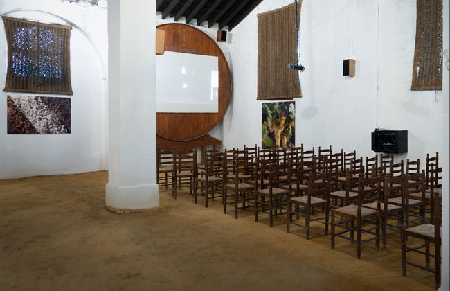 Visita a las Bodegas Álvaro Domecq - Foto 7