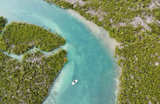 Aluguel de barco sem licença em Key West - Foto 11