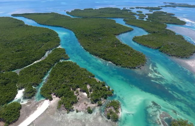 Aluguel de barco sem licença em Key West - Foto 9