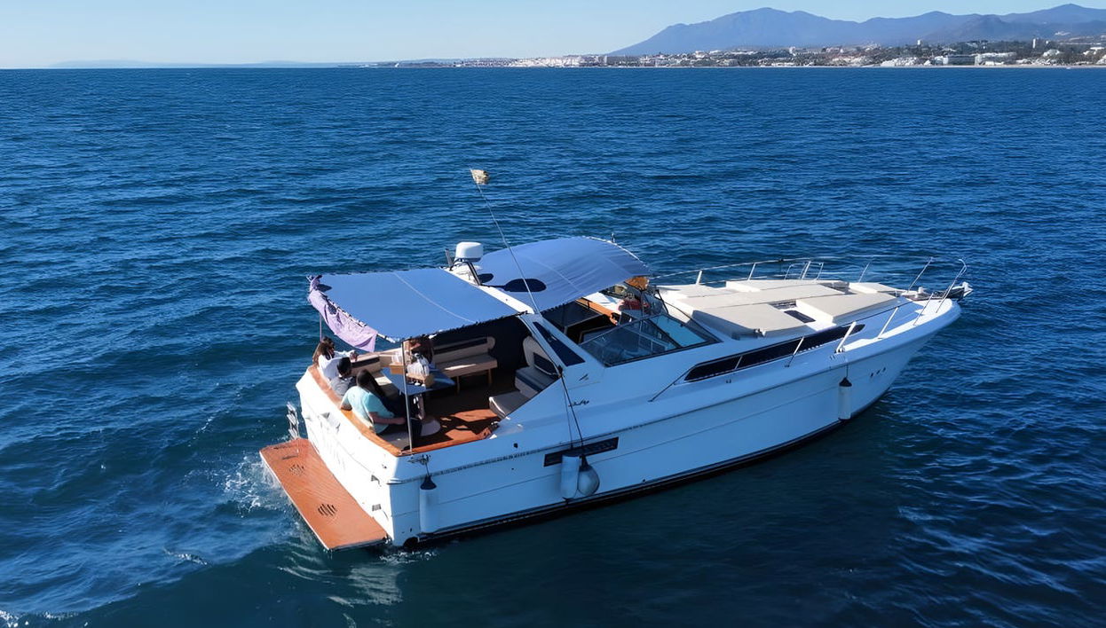 Observation de dauphins sur la côte de Marbella - Photo 1