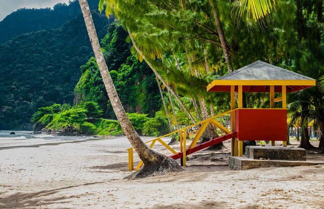 Tour por Puerto España y la playa Maracas - Foto 8