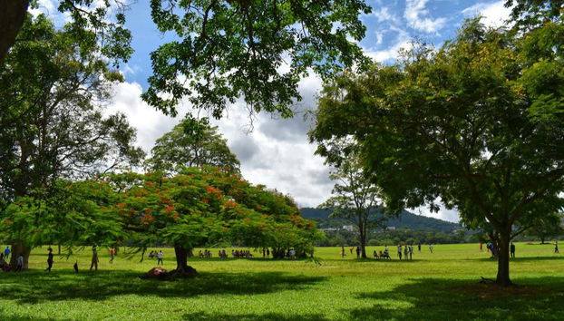 Tour por Puerto España y la playa Maracas - Foto 5
